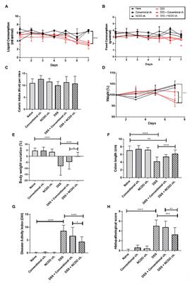 Therapeutic Effects of Probiotic Minas Frescal Cheese on the Attenuation of Ulcerative Colitis in a Murine Model